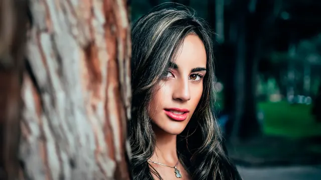 Gisell Tree